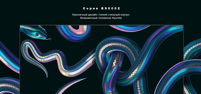 Линейка BS5002
